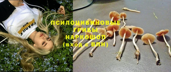 jwh Богданович