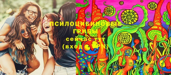 соль ск Богородицк