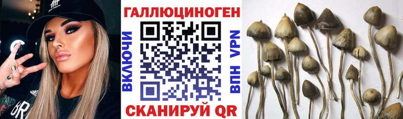 Галлюциногенные грибы мицелий  MEGA ТОР  Иркутск 