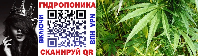 Бошки Шишки индика  Иркутск 